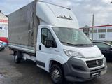 Fiat Ducato Pritsche/Kipper/LDW - Fiat Ducato: Kipper