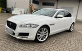 Jaguar XF 2.0 Baujahr 2018 / Tüv 5/27 Sehr... - Jaguar XF: 5.0