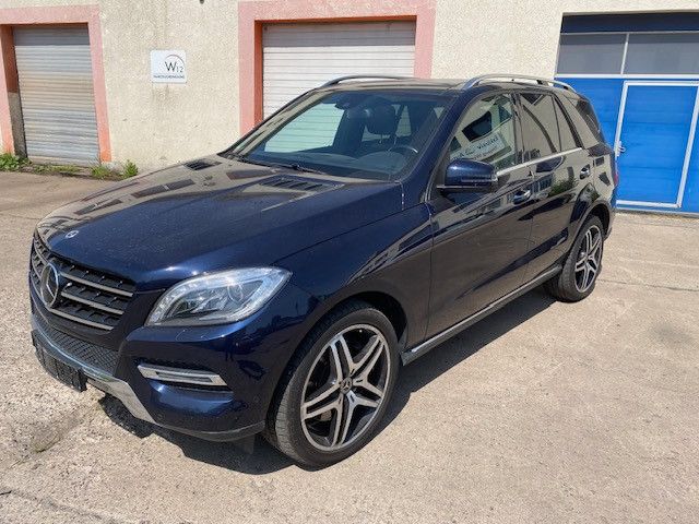 Mercedes-Benz ML 500 BlueEfficiency 21 Zoll AMG Panno Haman K