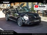 Volkswagen Beetle Cabrio 1.2 TSI Rückfahrkamera DSG CarPlay - gebrauchte VW Beetle aus dem Jahr 2018