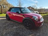 MINI Cooper Cabrio Cooper - MINI Cooper Cabrio von privat