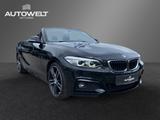 BMW 220i Cabrio M-Sport Aut. NaviProf H/K CarPlay - BMW 220: M Sport