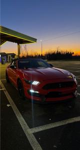 Ford Mustang Convertible 3,7 AUSTAUSCH AUC... - Ford Mustang: For