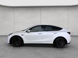 Tesla Model Y Performance Dual Motor Skyview - Tesla Gebrauchtwagen in Stuttgart