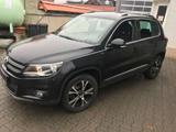 Volkswagen Tiguan 2.0 TDI DSG Lounge Sport 4WD Scheckheft N - Volkswagen Tiguan: W