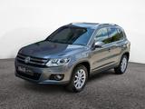 Volkswagen Tiguan Sport & Style BMT 1.4 TSI Xenon,Temp,AHK - Volkswagen: Winterreifen