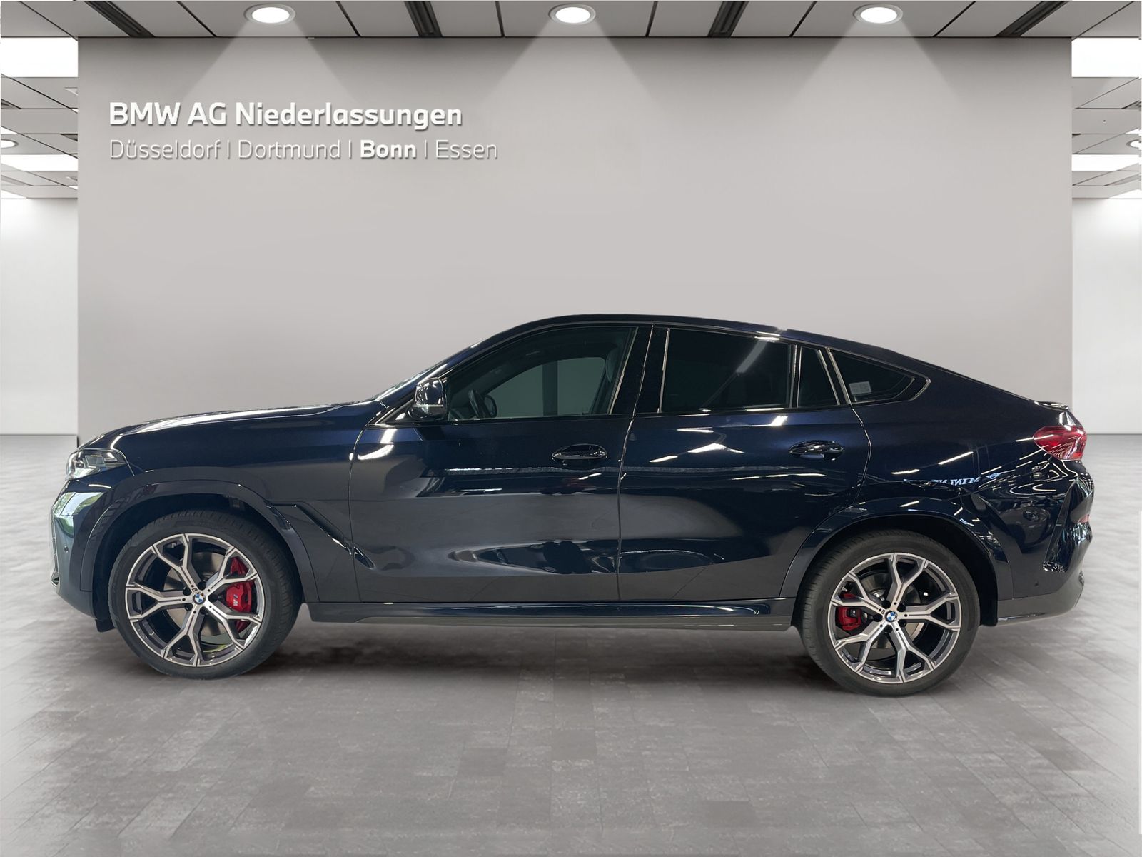 BMW X6 xDrive30d M Sport AHK Driv.Assist.Prof LED foto 3