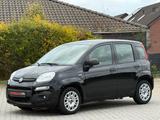 Fiat Panda Hybrid*1.BESITZ*KLIMA*TOP - gebrauchte Fiat Panda aus dem Jahr 2021