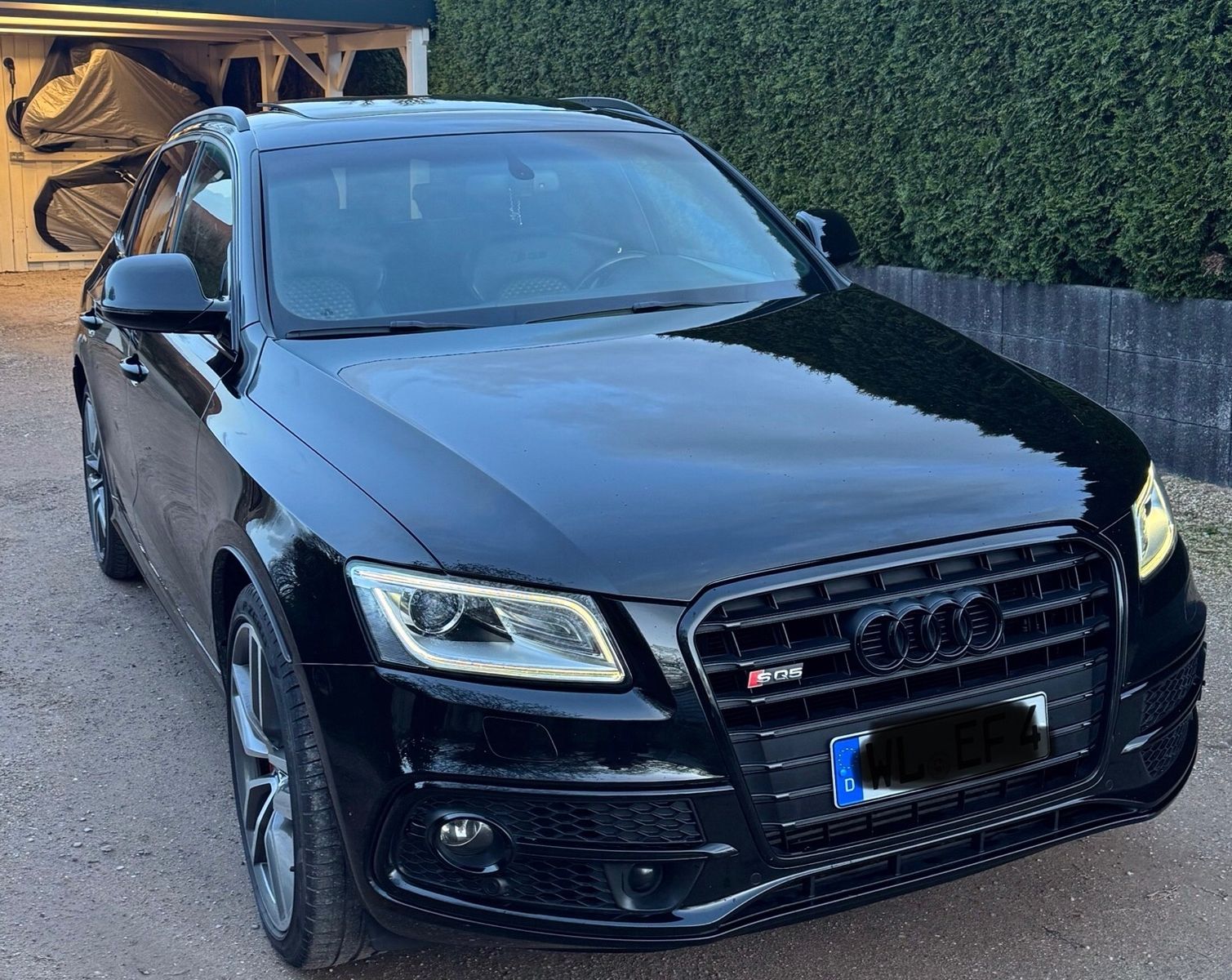 AUDI SQ5 Plus 3.0 TDI*VOLL*Scheckheft*Leder*AHK*ACC