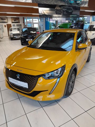 Peugeot in Schenefeld