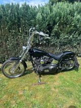 Harley-Davidson FXST Softail Chopper - HARLEY-DAVIDSON 2001 SOFTAIL