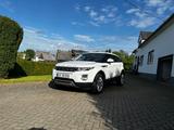 Land Rover Range Rover Evoque 2.2 SD4 White Dynamic Whi...