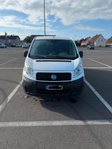 Fiat Scudo Kastenwagen - 2.0 Diesel - TÜV ... - Fiat Scudo aus 2007