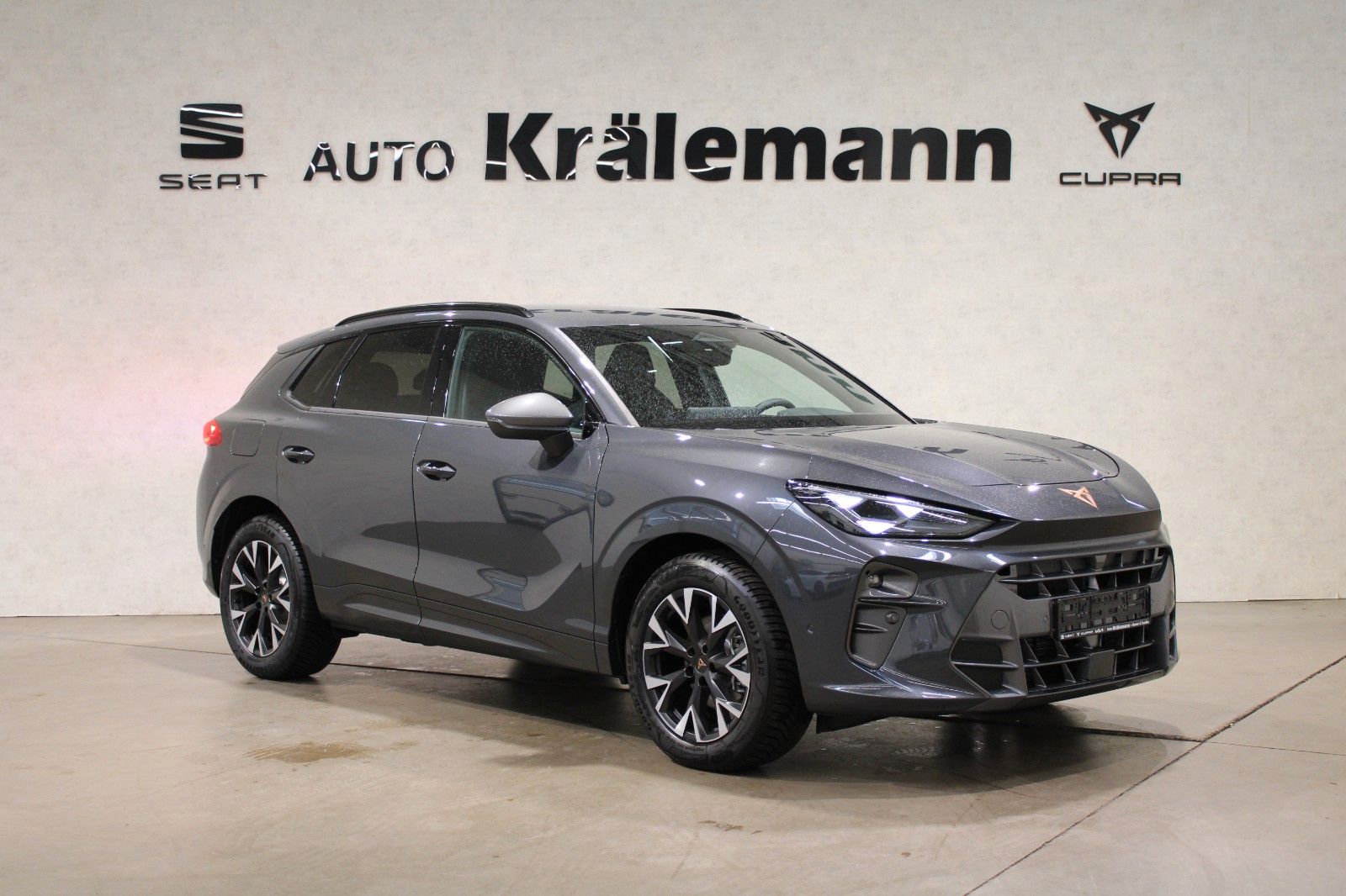 Cupra Terramar 2.0 TSI DSG 4Drive*AHK*Allwetterreifen