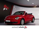 Volkswagen Beetle Cabriolet 1.2 TSI Sitzheizung PDC - Volkswagen Beetle: Rot
