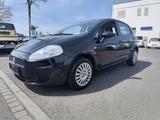 Fiat Grande Punto 1.4 8V Dynamic Klima 5 Türig Sauber - Fiat Grande Punto Gebrauchtwagen in Nürnberg