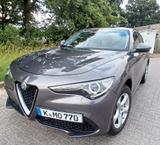 Alfa Romeo Stelvio 2.0Turbo TOP *280PS*Q4*Leder*Navi*xenon - Alfa Romeo: Allradantrieb