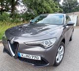 Alfa Romeo Stelvio 2.0Turbo TOP *280PS*Q4*Leder*Navi*xenon - Alfa Romeo Stelvio Gebrauchtwagen