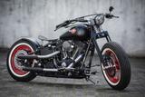 Harley-Davidson Springer Bobber Umbau Custom Softail - HARLEY-DAVIDSON 2002 SOFTAIL