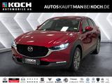 Mazda CX-30 2.5 140 6AT FWD Exclusive-line ACC 360 BOS - Mazda CX-30 Exclusive-Line mit Benzin-Antrieb