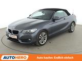 BMW 220i Advantage*NAVI*XENON*TEMPO*PDC*SHZ* - : Teilleder, Cabrio, mit Klimaautomatik