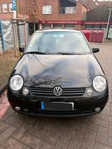 Volkswagen VW Lupo 1,4 16v 75ps - Volkswagen Lupo in Hamburg