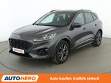 Ford Kuga 2.0 TDCi EcoBlue ST-Line X Aut.*NAVI*LED* - Ford Kuga ST-Line mit Diesel-Antrieb