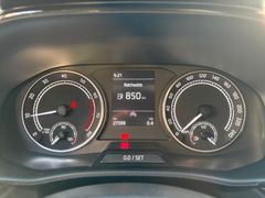 Fahrzeugabbildung Skoda Fabia Active - Klima*Sitzhzg*PDC*Alufelgen*App