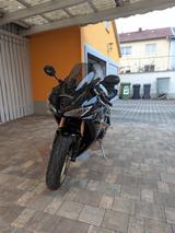 Triumph Daytona 675 - TRIUMPH DAYTONA 675