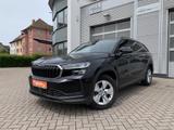 Skoda Kodiaq 1.5TSI DSG Selection Memory+ACC+DAB+RFK - gebrauchte Skoda Kodiaq aus dem Jahr 2024
