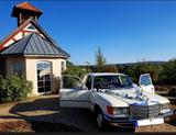Mercedes-Benz 280 SE Weiß  - Mercedes-Benz 280 aus 1973: 280se