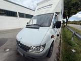 Mercedes-Benz Mercedes Sprinter 313CDI Koffer Klima mit tüv - Mercedes-Benz Sprinter: 313 Koffer