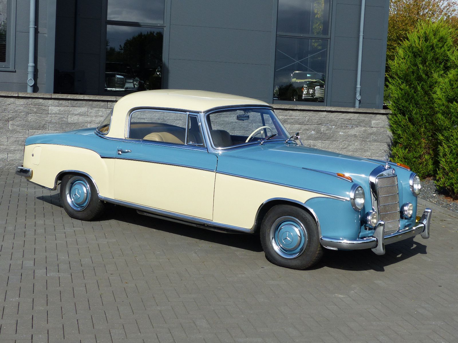Fahrzeugabbildung Mercedes-Benz 220