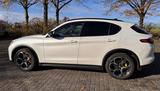 Alfa Romeo Stelvio 2.0 Turbo 16V 206kW B-Tech AT8-Q4 B-Tech - Alfa Romeo aus 2018