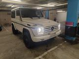Mercedes-Benz G 350 BlueTEC - kurz
