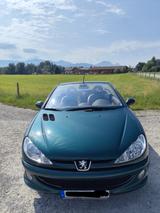 Peugeot 206 CC Roland Garros 110 Roland Garros - Peugeot 206 aus 2004: 206cc