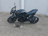 Triumph Daytona T595 /955iUnikat. Umbau zur Speedy.  - Offers matching your search criteria
