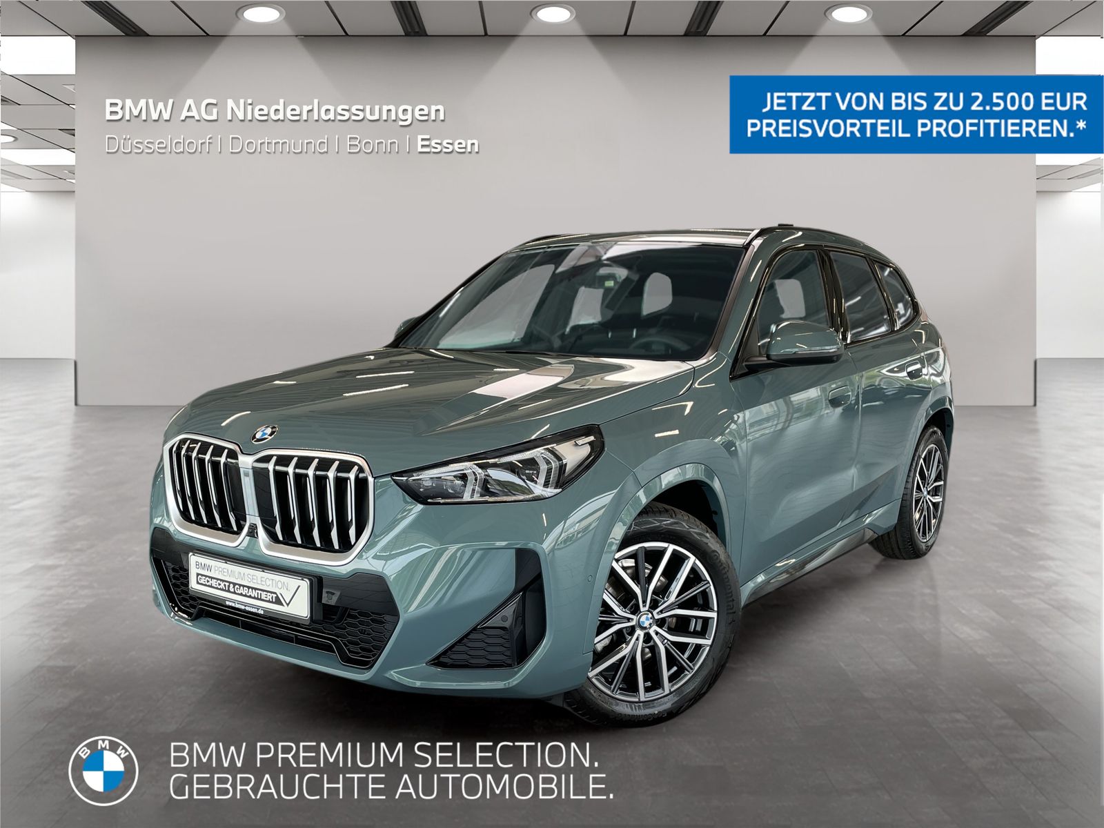 BMW X1 xDrive20d M Sport AHK Driv.Assist.Prof LED foto 1