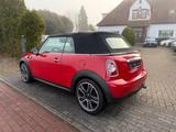 MINI Cooper Cabrio Chili*2.Hd*Leder*Pano*Navi* - mit Benzin-Antrieb: Panorama-Dach, Cabrio