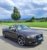 Audi A5 2.0 TFSI Cabriolet - TÜV/Insp. Neu - Audi A5: Braun, Leder
