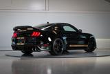 Ford GT Shelby GT500-H Hertz | 1 of 5 | 2890 km | Exe - Ford: 289