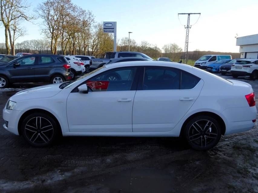 Fahrzeugabbildung SKODA Octavia 1,8 TSI 4*4 DSG    L&K  Standheizung