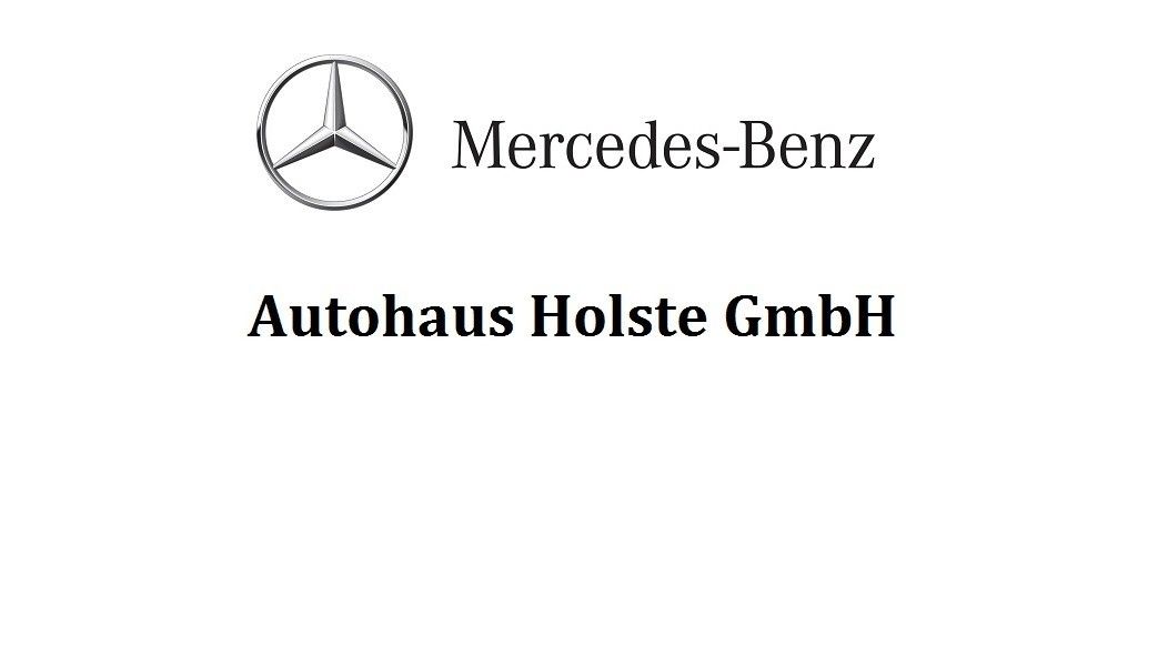 BMW 320 iA Sport Line ACC Glasdach Keyless foto 12