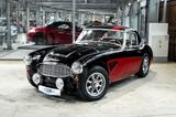 Austin Healey 100/6 BN4 | Sport Rallye | Weber | Sidepiepes - Austin Healey: Bn4