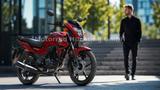 Honda CB 125 F ! B 196 ! A1 ! EURO 5 + NEUES MODELL !! - Offers