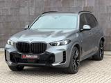 BMW X5 40d M SPORT PRO.PANO.SOFTCL.LUFTFEDER.AHK.22" - BMW X5 mit Diesel-Antrieb: mit Apple Carplay, mit Klimaanlage