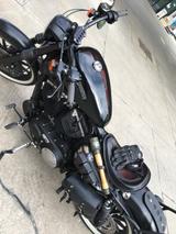 Harley-Davidson Iron 883 - Offers