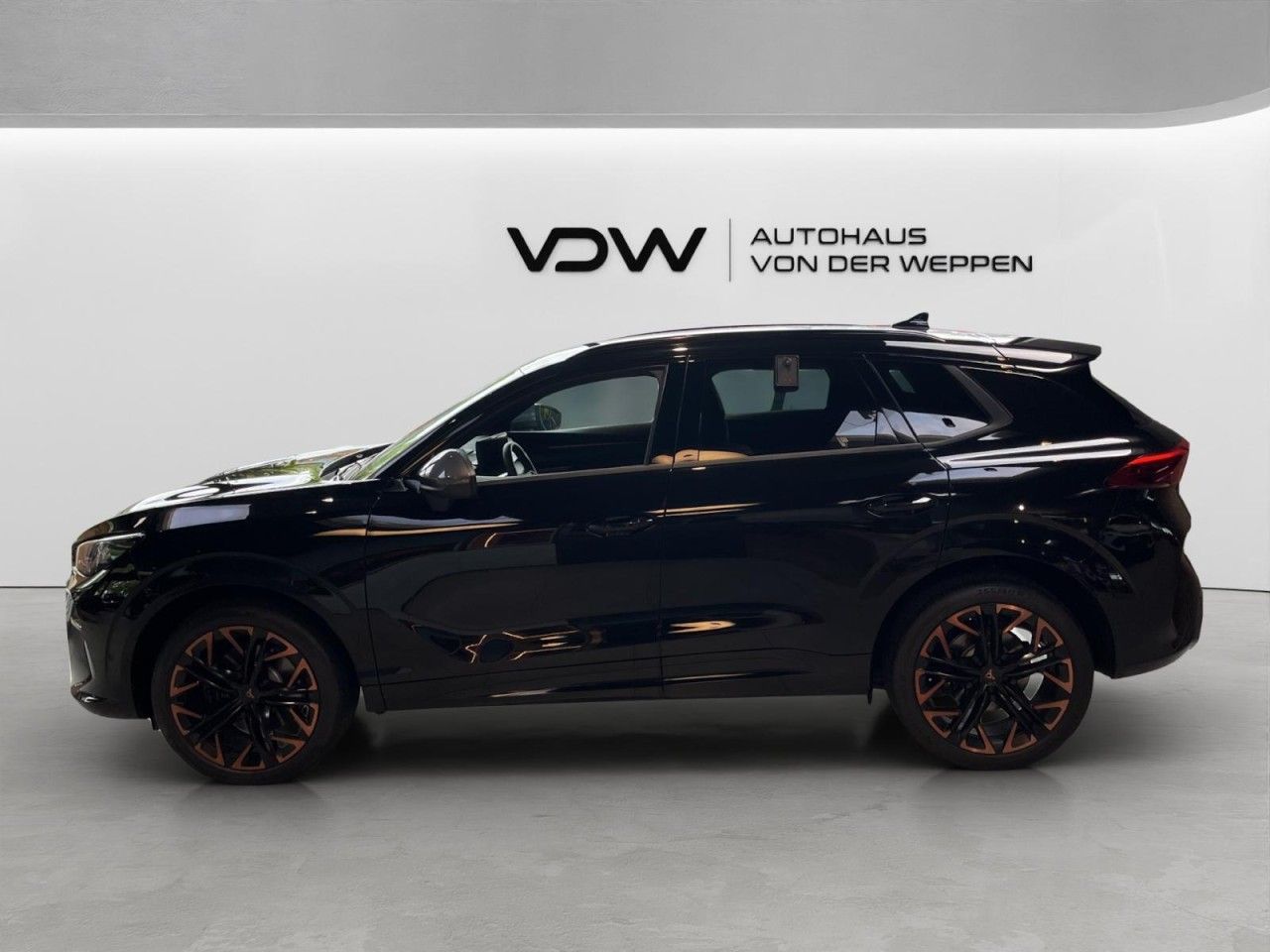 Cupra Terramar - Bild 3