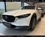 Mazda CX-30 Takumi 186 PS *Leder*Bose*GSD*NEU-TZ* - Mazda CX-30: Takumi