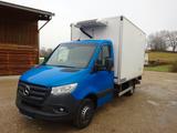 Mercedes-Benz Sprinter III 519 CDI /Tiefkühl Thermo King C450 - Mercedes-Benz Kastenwagen hoch + lang Sprinter 4
